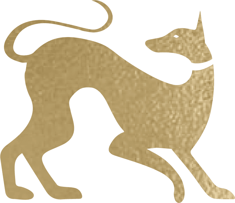 Ошейник-мартингейл Selédka